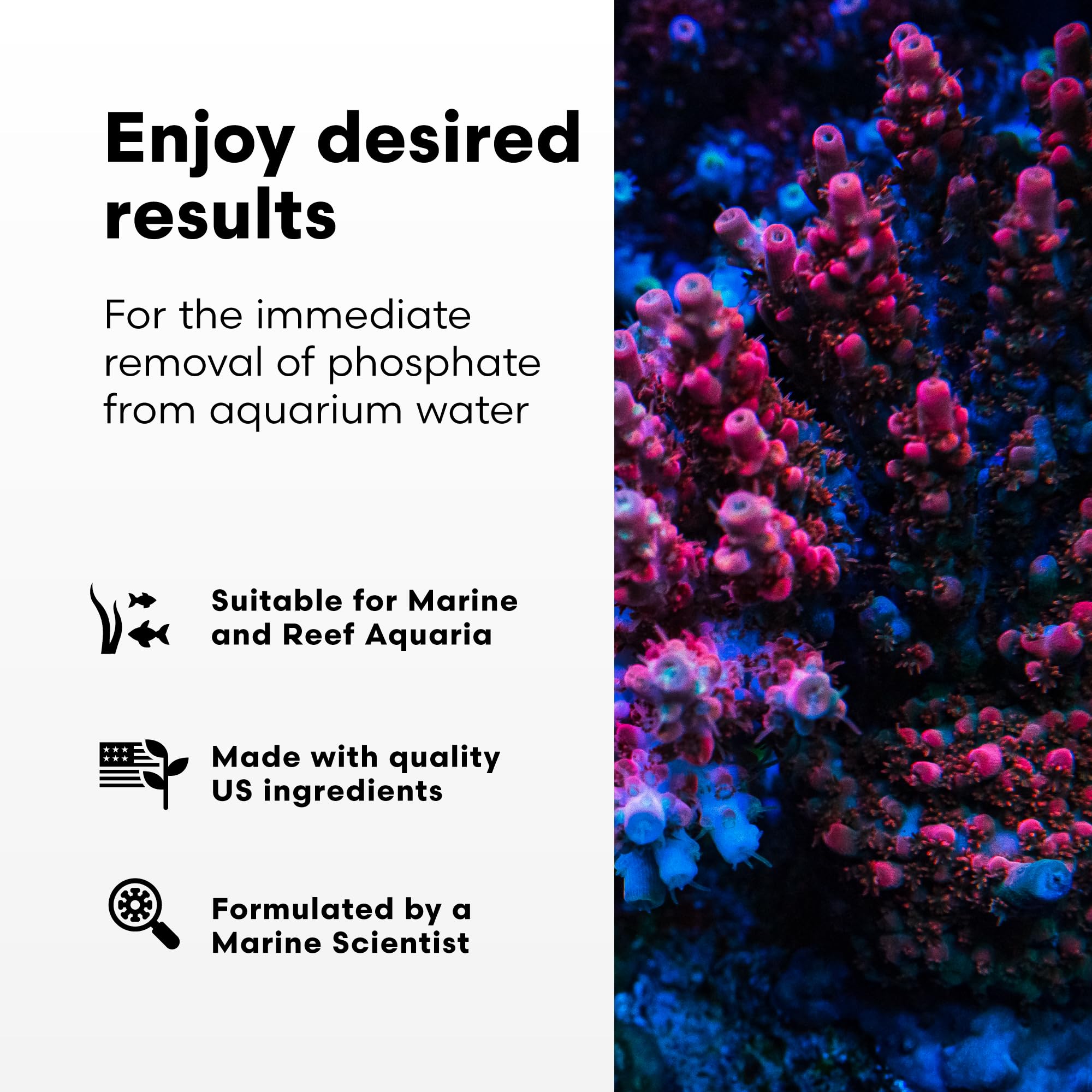 Brightwell Aquatics Phosphat-E Liquid Phosphate Remover for Marine Fish and Reef Aquariums - Aquarium Water Treatments, 16.9 fl